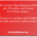 Michael Wendler Louis Pawellek Lustig Spruch